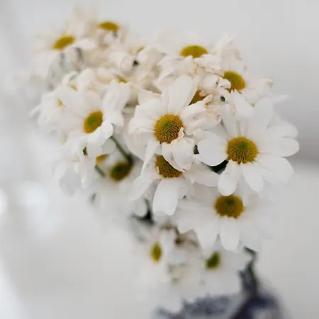 Apartament La Casita *