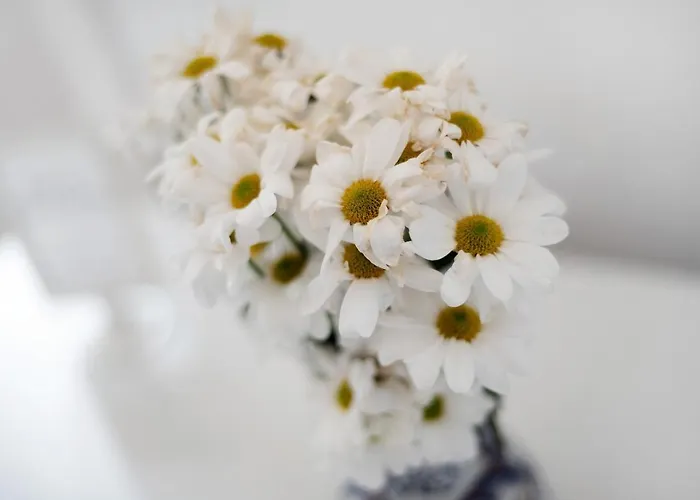 아파트 La Casita *